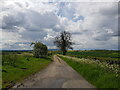 End of the road at Cowsden