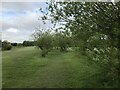 Public footpath across Westerhope Golf Course