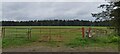 NZ0566 : Gated Field and Shelter Belt Plantation by Anthony Parkes