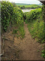 Footpath to Porthilly Cove