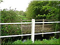 TM1762 : Downstream from the Kenton Road bridge by Adrian S Pye