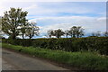 Longhold Road approaching Sibbertoft