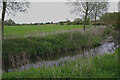 River Box near Valley Farm, Stoke-by-Nayland