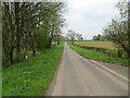 Minor road passing Hare Wood