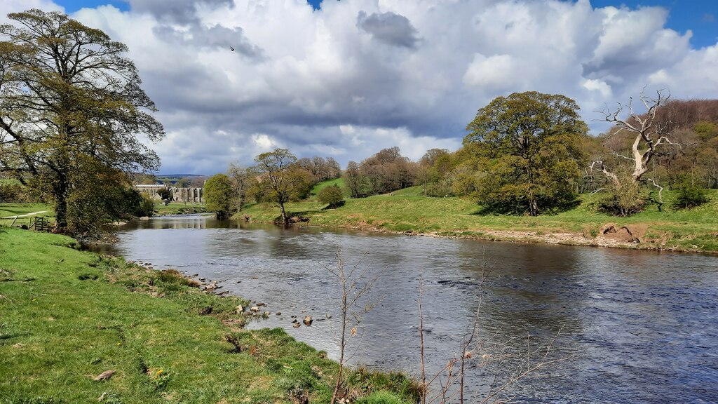 The River Wharfe Downstream Of Bolton © Clive Nicholson Geograph