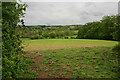 Hilly countryside east of Stoke-by-Nayland