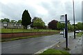 Bus stop on Thief Lane