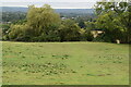 Footpath down the Greensand Ridge