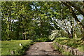 Track leading up from The Ramblers Rest pub to Chislehurst Common