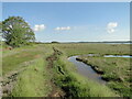 TM2942 : Footpath beside the River Deben by Adrian S Pye