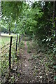 Footpath, Park Wood