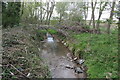 Little weir on Dallington Brook