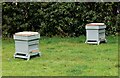 Bee hives near Great Sanders, Sedlescombe