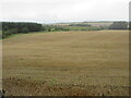 NO7466 : Stubble field near Criggie by Scott Cormie