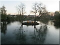 Christmas  lights  on  Nafferton  Mere  island