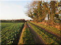 Track  through  fields  with  tree  trunk  barrier