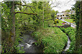 River Amber at Fallgate