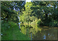 Shropshire Union Canal at Brownhills Wood