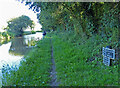 Shropshire Union Canal milepost at Brownhills Wood