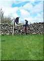 Step stile in a stone wall
