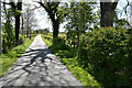 Tree shadows along Dreenan Road