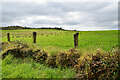 Grey skies, Moyle Glebe