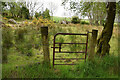 Rusty gate, Moyle Glebe