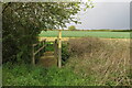 Footbridge on the footpath to West Park Farm