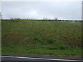 Embankment beside the A76 near Auchinleck