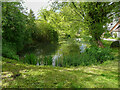 Pond on a little village green, Wallington