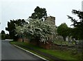 Spring blossom outside Pebworth Church