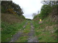 Farm track off the B7046, Cumnock