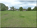 Cow pasture with a distant nursery of calves