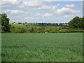 SO8893 : Wombourne Field Scene by Gordon Griffiths