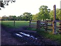 Path junction with wooden kissing gate, Hawkes End