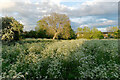 Within the moated area of Tenison Manor, Cottenham