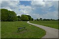 Path on Hob Moor