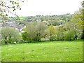 Near the top of Bincombe Hill - Crewkerne