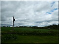 Farmland north of  Eldersfield Churchyard