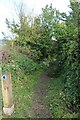 Path off Barton Road, Harlington