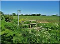 Path south to Yarburgh