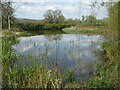 Pond near Monksilver Cottage