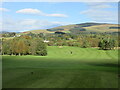 Muckhart Golf Club (Naemoor), 5th Hole, Andrew