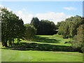 Muckhart Golf Club (Cowden), 1st Hole, Dougal