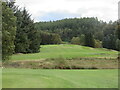 Muckhart Golf Club (Cowden), 4th Hole, Spion Cop