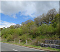 Railway embankment beside the A76 near Kirkconnel