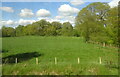 Grazing and woodland near Bridgehouse