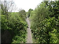 Shincliffe railway station (site), County Durham