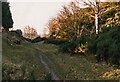 Eastern approach to Llangurig station site