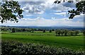 View west from Broad Oak Wood